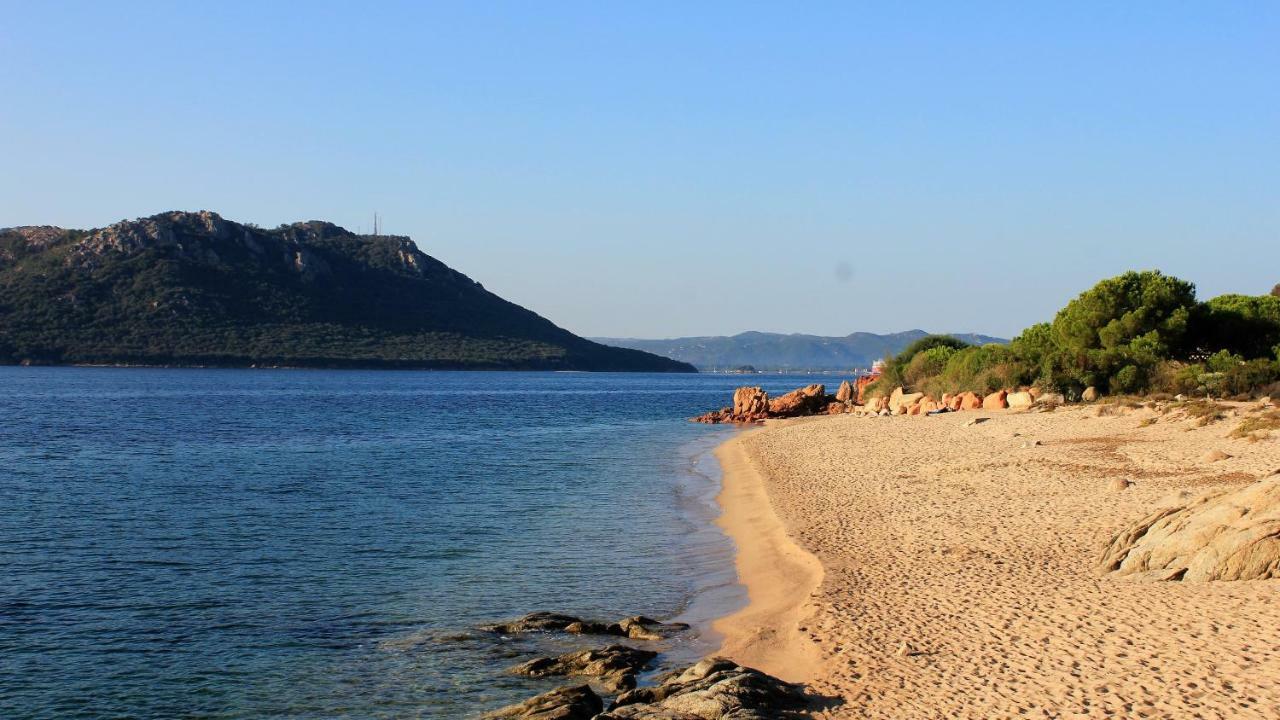 Villas Cala Corsa - 3 Et 4 Chambres - Cala Rossa Porto-Vecchio - Villas Entierement Climatisees Avec Piscine Chauffee Partagee Et Piscines Privees - Internet Gratuit Luaran gambar